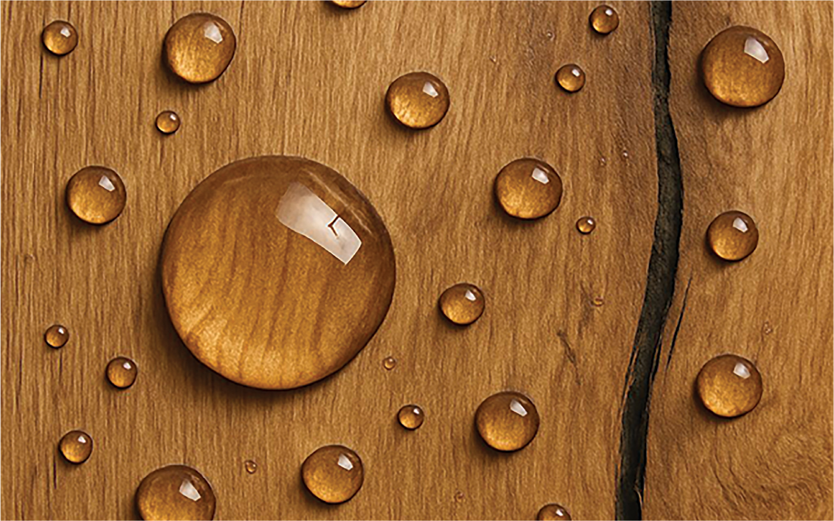 Water Based Coatings